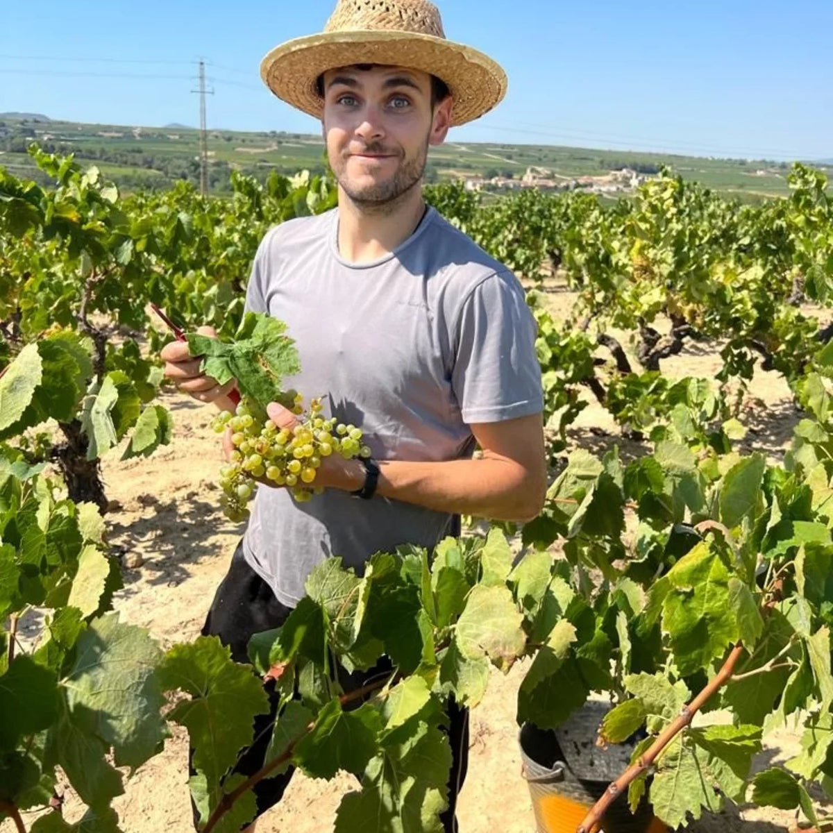 Meet the Winemaker: Bodega Clandestina