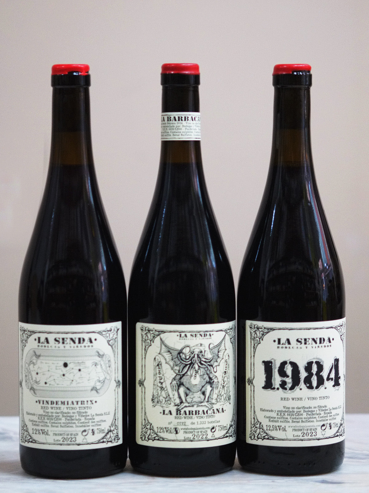 Chenin Chenin - Triple treat by 'Bodega La Senda' - Chenin Chenin