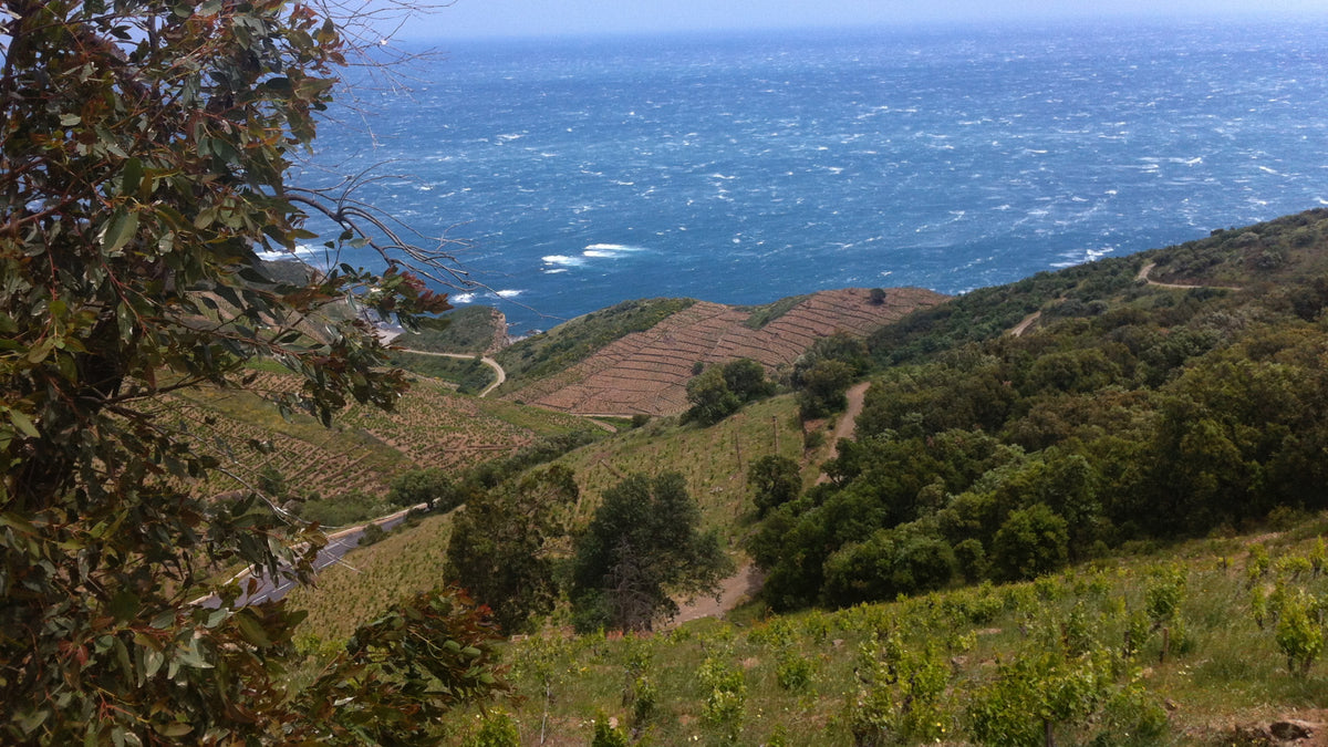 Casot des Mailloles at Chenin Chenin