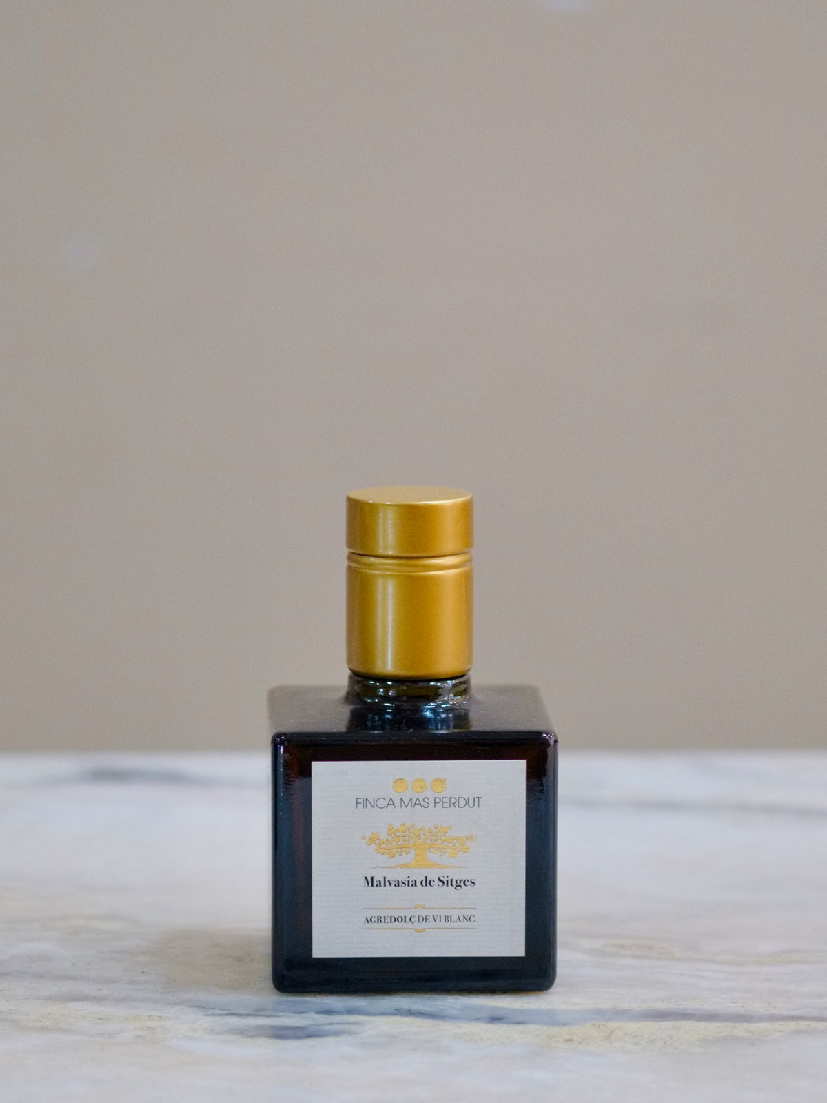 Finca Mas Perdut - Finca Mas Perdut | Vinegar Malvasia de Sitges | 250ml - Chenin Chenin